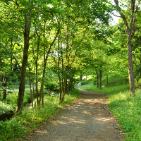 ピラティス&緑道ウォーキング4月19日(日)14:00〜